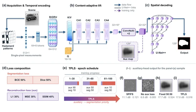 Complete STSF+TPLS architecture showing acquisition and temporal encoding, content-adaptive lift, spatial decoding, loss composition, training schedule and auxiliary-head comparisons.